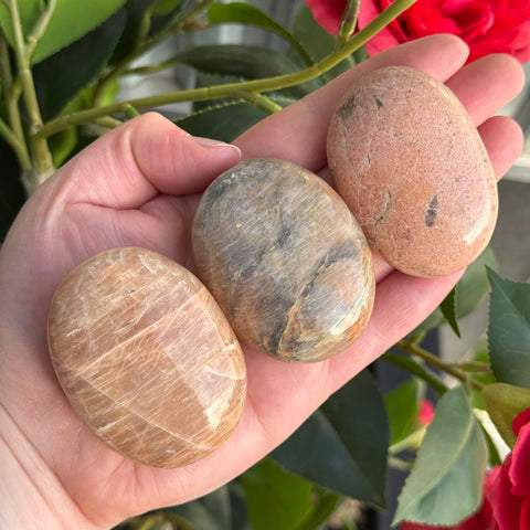 Ravenstone Crystals Size 2 Pink Moonstone Palm Stone