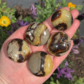 Ravenstone Crystals Size 2 Septarian Palm Stone