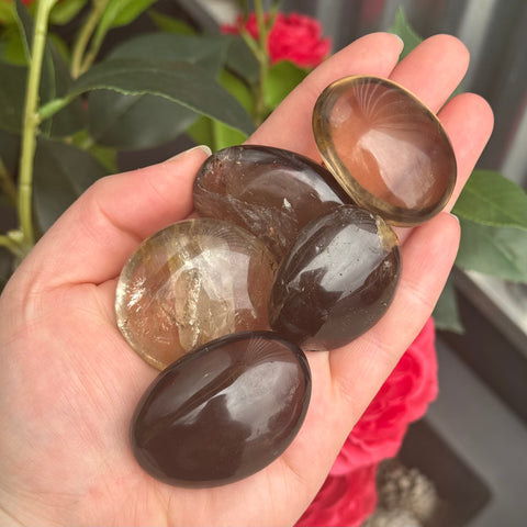 Ravenstone Crystals Size 2 Smoky Quartz Palm Stone
