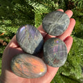 Ravenstone Crystals Size 2 Sunset Labradorite Palm Stone