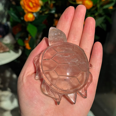 Ravenstone Crystals Smoky Quartz Turtle "Hunter"