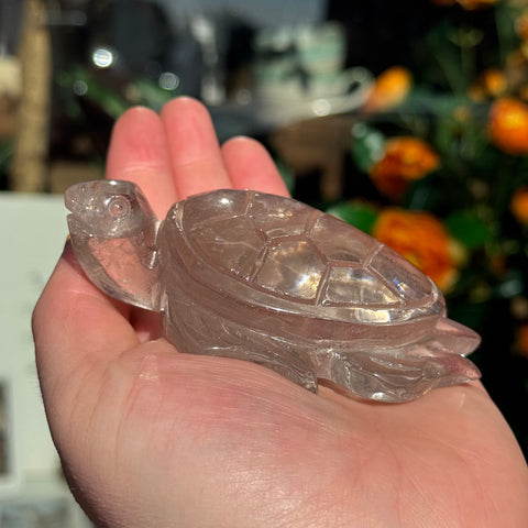 Ravenstone Crystals Smoky Quartz Turtle "Hunter"