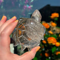 Ravenstone Crystals Smoky Quartz Turtle "Hunter"
