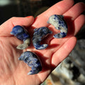 Ravenstone Crystals Sodalite Dolphin