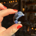 Ravenstone Crystals Sodalite Dolphin