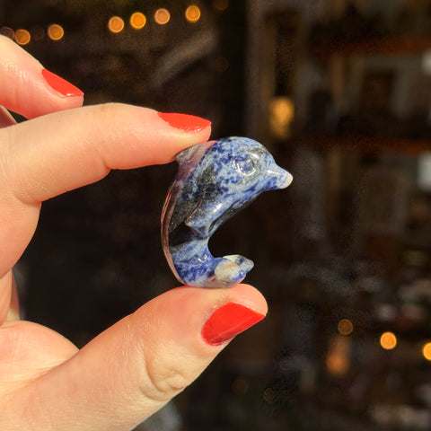 Ravenstone Crystals Sodalite Dolphin