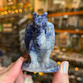 Ravenstone Crystals Sodalite Dragon "Charlotte"
