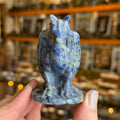 Ravenstone Crystals Sodalite Dragon "Henry"