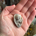 Ravenstone Crystals Spiralite "Doris"