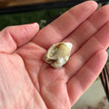 Ravenstone Crystals Spiralite "Sailor"