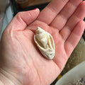 Ravenstone Crystals Spiralite "Sirena"