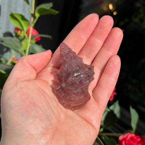 Ravenstone Crystals Strawberry Quartz Seashell