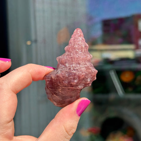 Ravenstone Crystals Strawberry Quartz Seashell