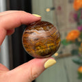 Ravenstone Crystals Tiger's Eye "Cecil"
