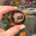 Ravenstone Crystals Tiger's Eye "Cornelia"