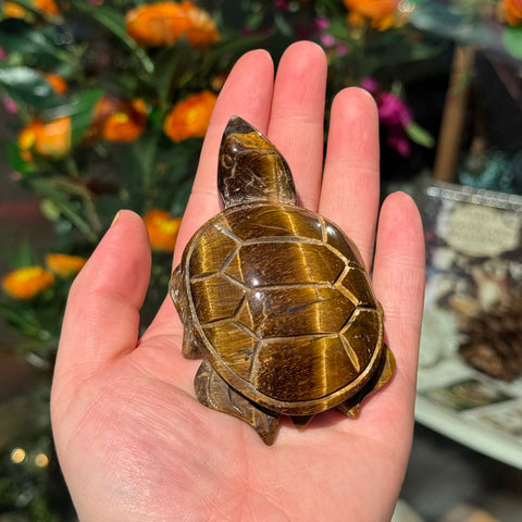 Ravenstone Crystals Tiger's Eye Turtle "Melinda"