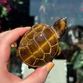 Ravenstone Crystals Tiger's Eye Turtle "Melinda"