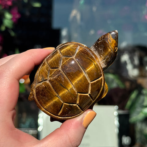 Ravenstone Crystals Tiger's Eye Turtle "Melinda"
