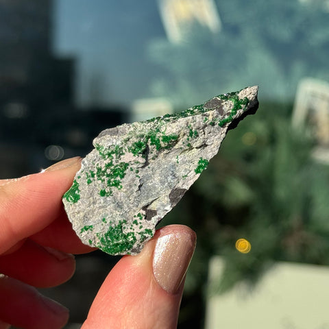 Ravenstone Crystals Uvarovite "Frances"