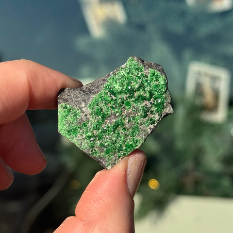 Ravenstone Crystals Uvarovite "Leon"