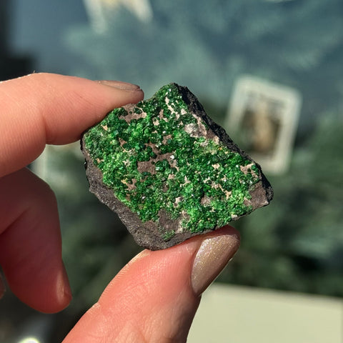 Ravenstone Crystals Uvarovite "Lou"