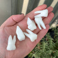 Ravenstone Crystals White Jade Tooth