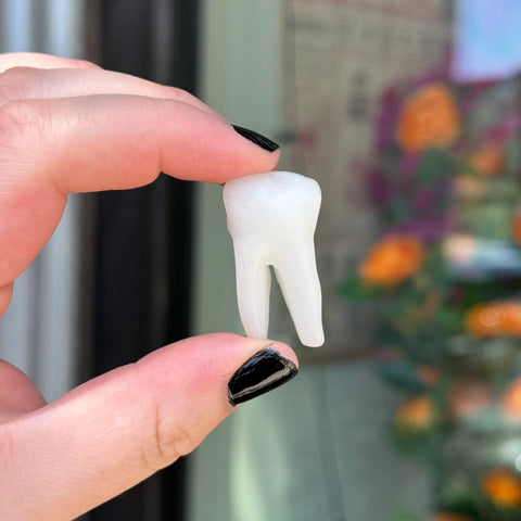 Ravenstone Crystals White Jade Tooth