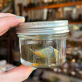 Ravenstone Crystals Window Opal "Dale"