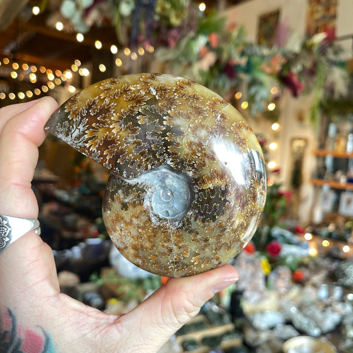 Ravenstone Crystals Ammonite &quot;Mick&quot;