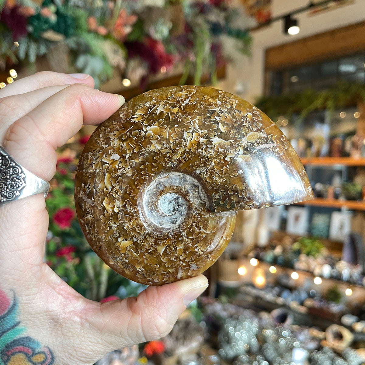 Ravenstone Crystals Ammonite &quot;Patrice&quot;