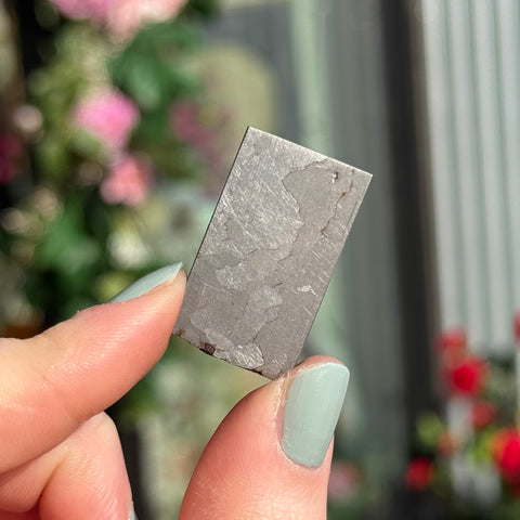 Ravenstone Crystals Campo del Cielo "Delilah"