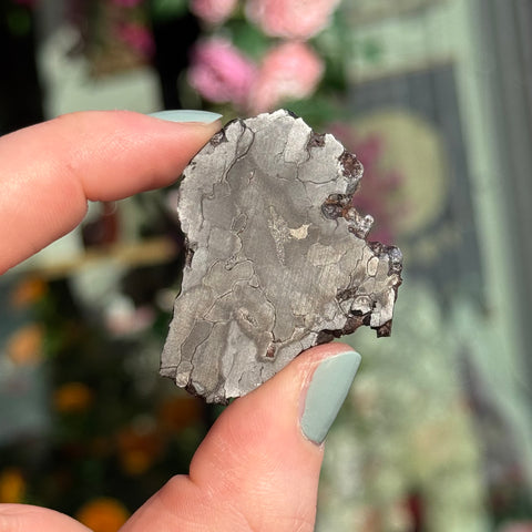 Ravenstone Crystals Campo del Cielo "Halina"