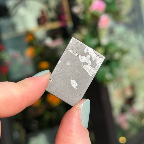 Ravenstone Crystals Campo del Cielo "Lola"