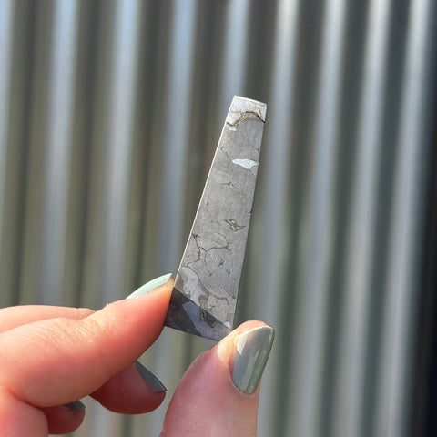 Ravenstone Crystals Campo del Cielo "Lyra"