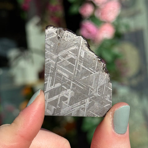 Ravenstone Crystals Muonionalusta "Dakota"