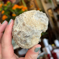 Ravenstone Crystals Rough Ammonite