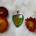 Ravenstone Crystals Ammolite Necklace "Maude"