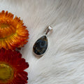 Ravenstone Crystals Pietersite Necklace "Jamie"