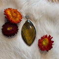 Ravenstone Crystals Tiger's Eye Necklace "Rhiannon"