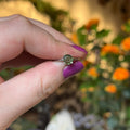 Ravenstone Crystals Faceted Moldavite Ring "Stella" - Size 6.5