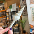 Ravenstone Curiosities Spindle Shell