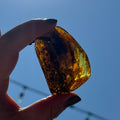 Ravenstone Amber Necklace "Maxim"