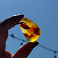 Ravenstone Amber Necklace "Simone"