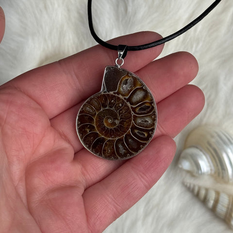Ravenstone Ammonite Necklace "Cosette"