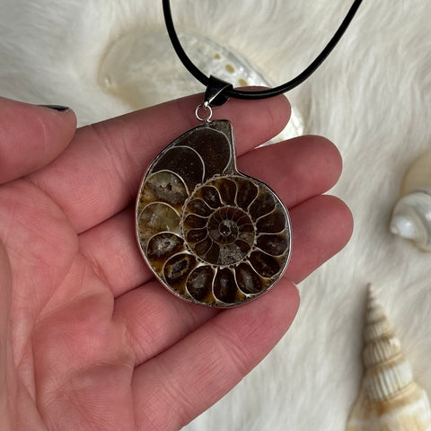 Ravenstone Ammonite Necklace "Jane"