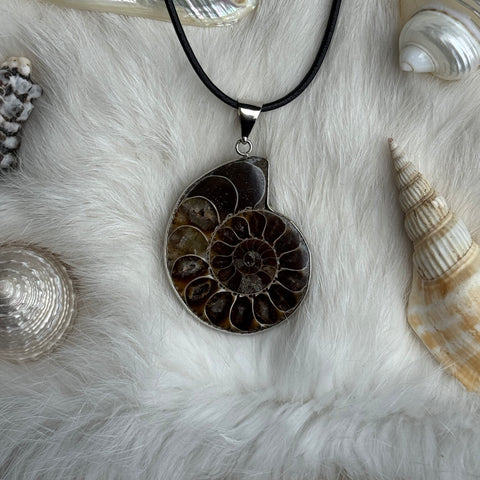 Ravenstone Ammonite Necklace "Jane"