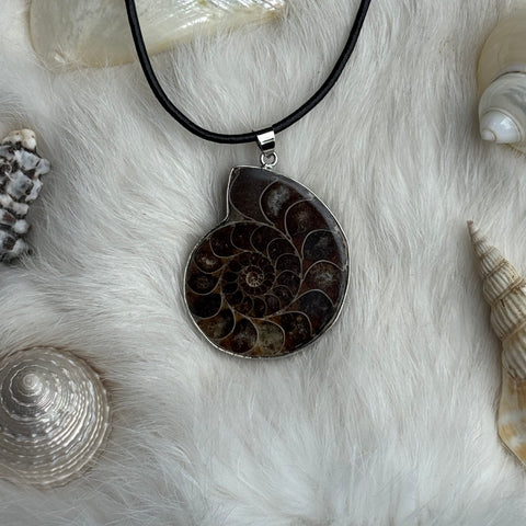 Ravenstone Ammonite Necklace "Marnie"
