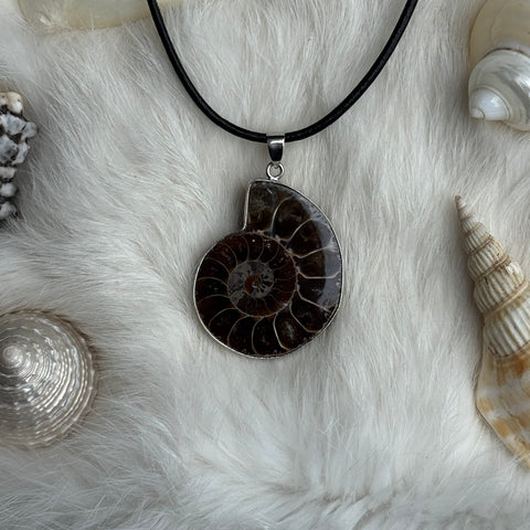 Ravenstone Ammonite Necklace "Phil"