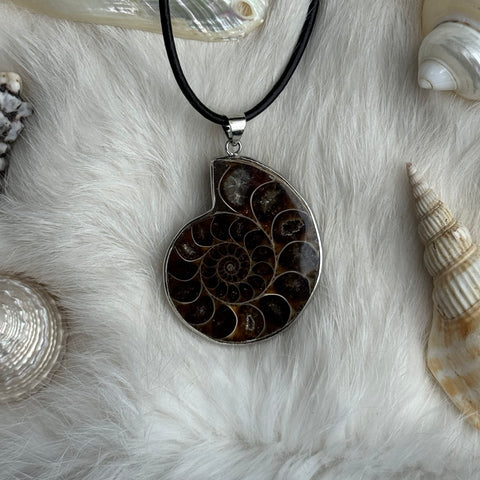 Ravenstone Ammonite Necklace "Sheila"
