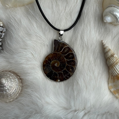 Ravenstone Ammonite Necklace "Trixie"